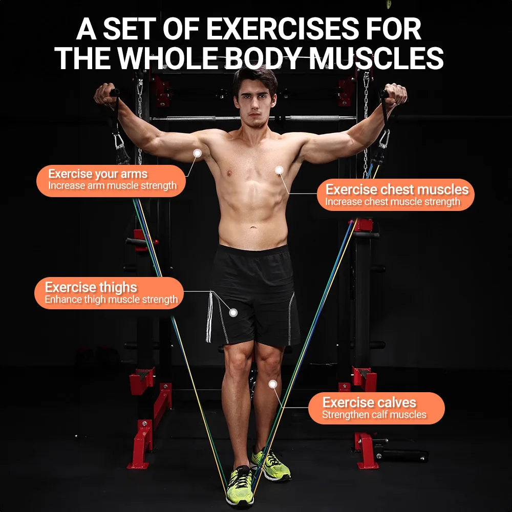 Resistance Bands Set (10–14pcs)