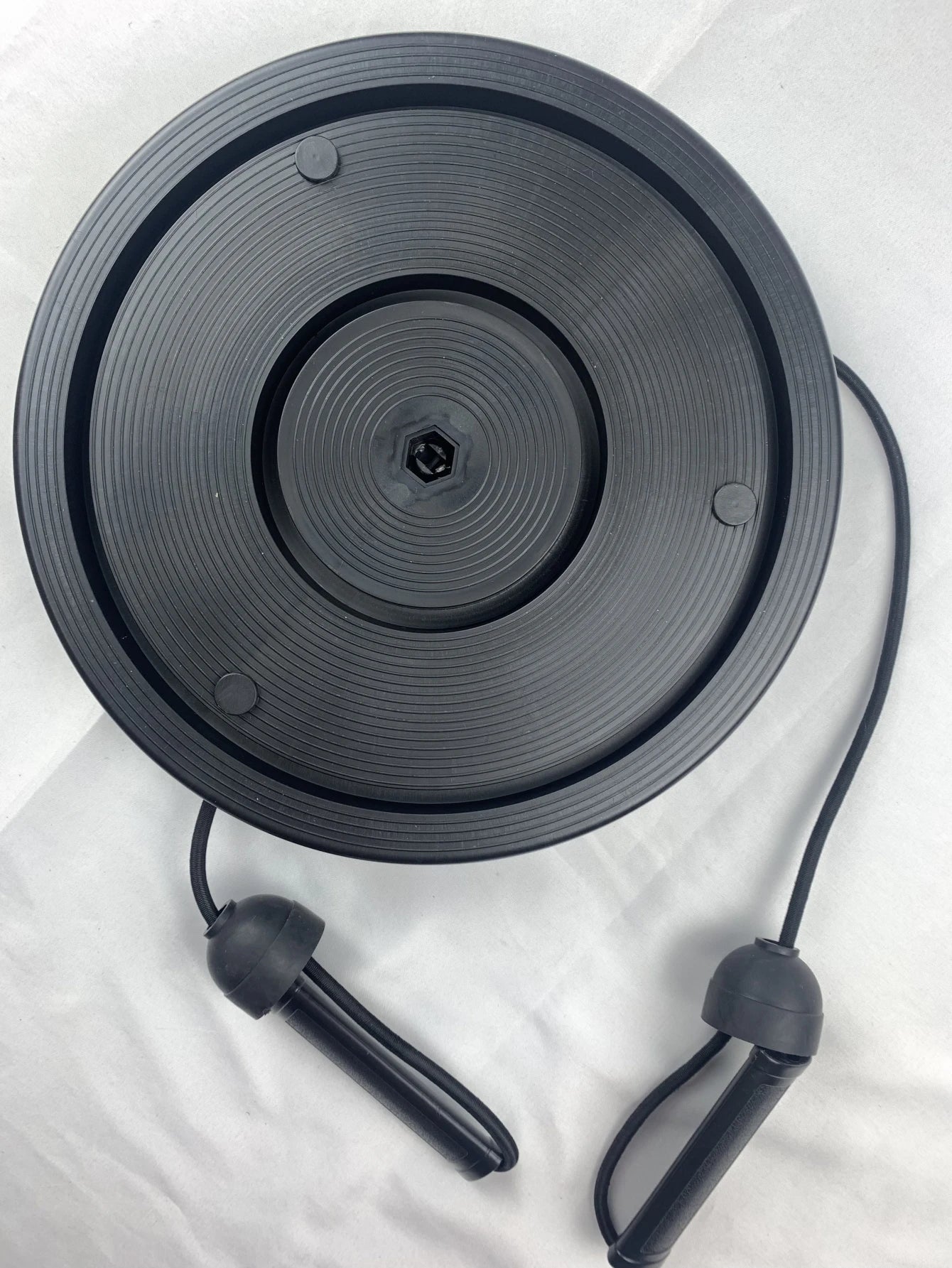 Magnetic Waist Twisting Disc